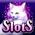 Home to high-quality slots & great casino games