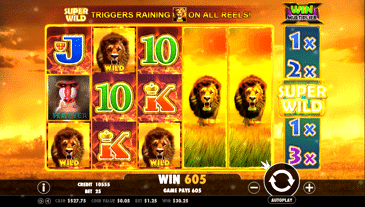 Hot Safari Slot Machine