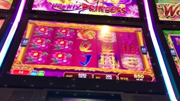 Phoenix Princess Slot Machine