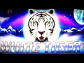 Aristocrat Technologies: Jackpot Reel Power - White Tiger